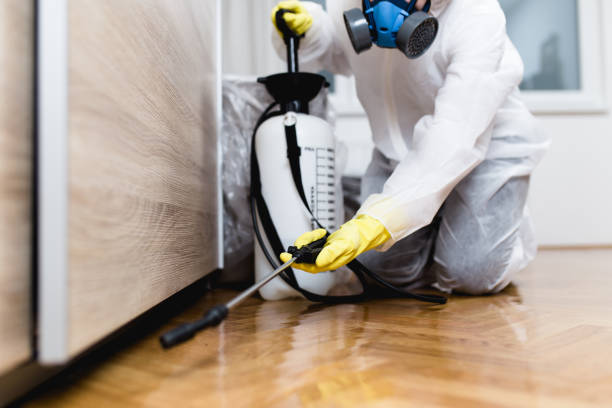 Best Wasp Removal Services  in Marlboro, NY