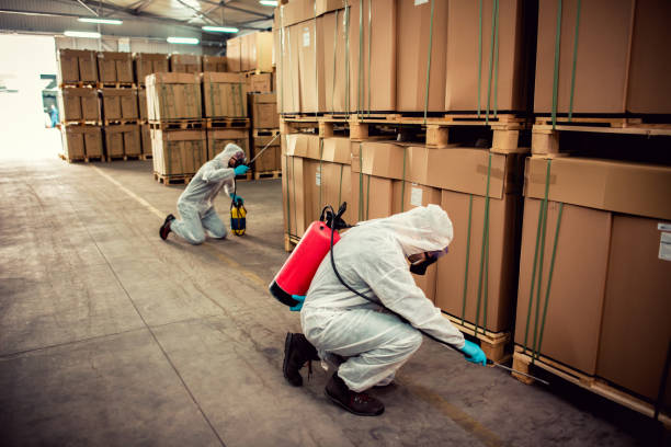Best Exterminator Services  in Marlboro, NY