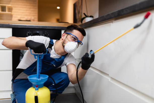 Best Commercial Pest Control Services  in Marlboro, NY