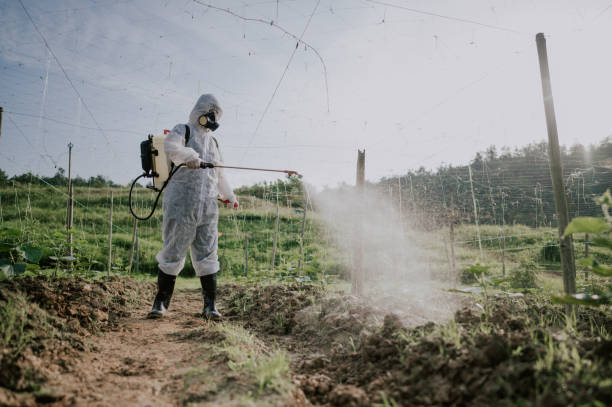 Best Affordable Pest Control Services  in Marlboro, NY