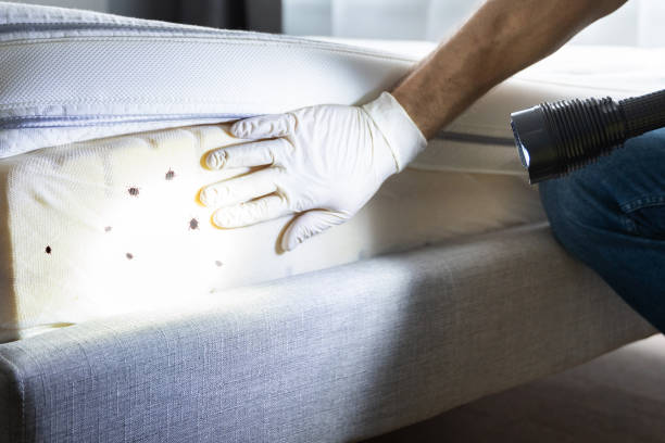 Best Pest Control Near Me  in Marlboro, NY