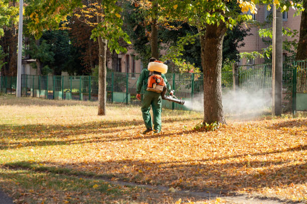Wasp Removal Services in Marlboro, NY