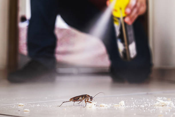 Best Bed Bug Extermination  in Marlboro, NY