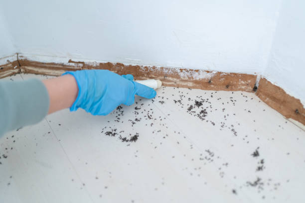 Best Wasp Removal Services  in Marlboro, NY