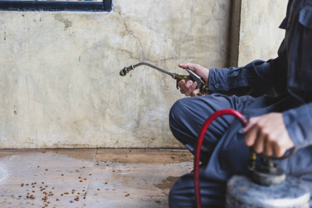 Best Pest Prevention Services  in Marlboro, NY