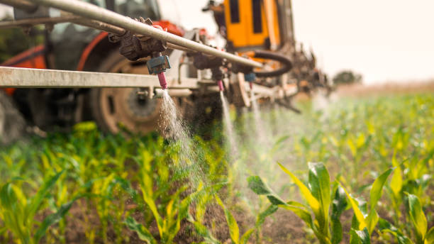 Best Pest Removal Services  in Marlboro, NY